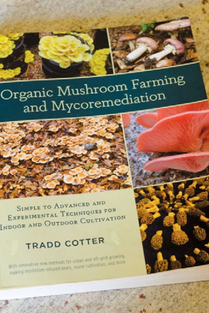 organic mushroom farming