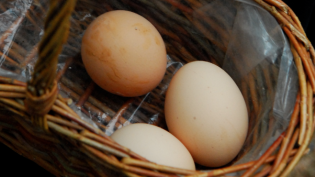 farm fresh eggs